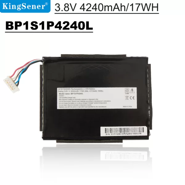 BP1S1P4240L-17WH